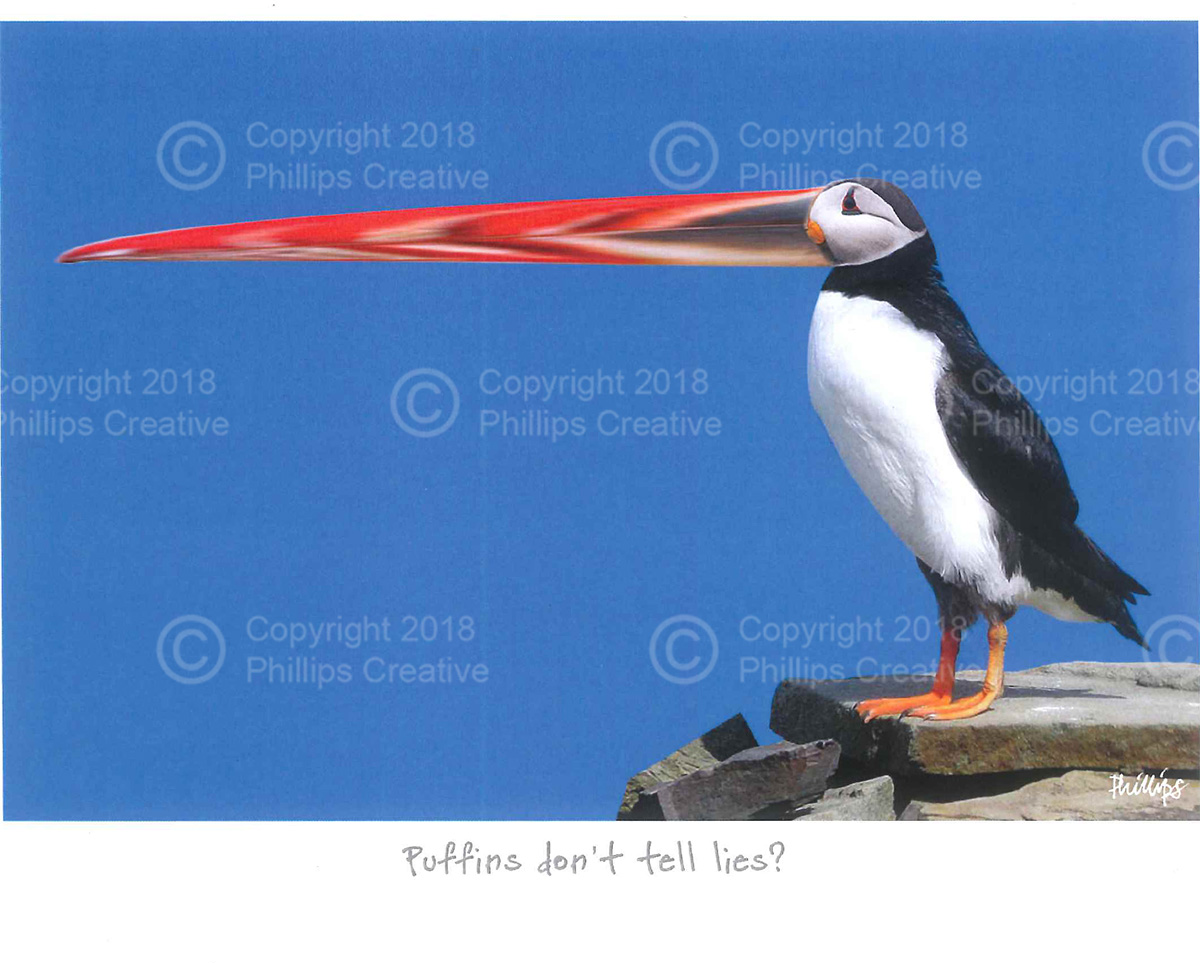 Puffins don’t tell lies!