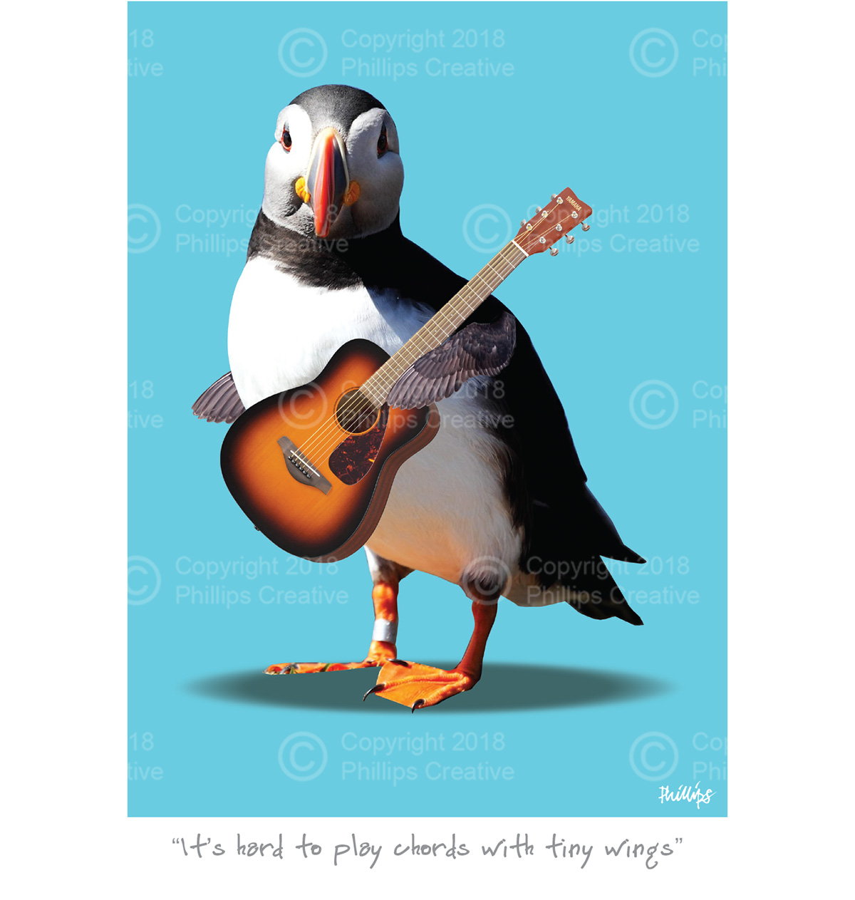 It’s hard to play chords with tiny wings